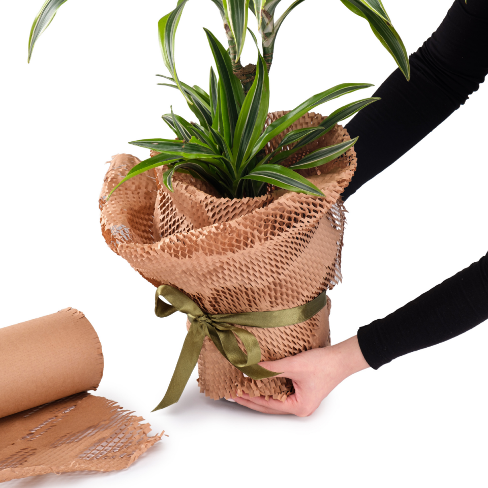 38cm x 50metre Bal Kağıt (Petek Kağıt)